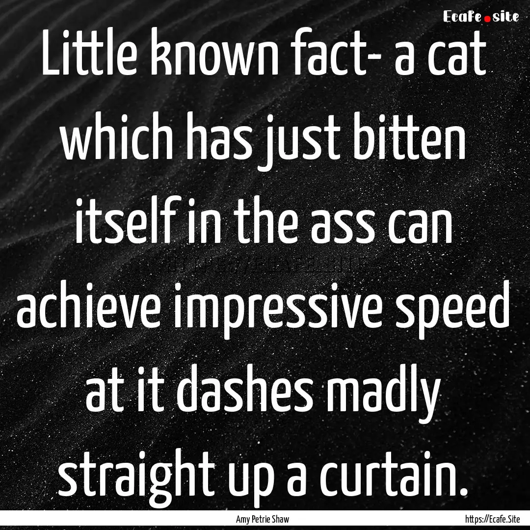 Little known fact- a cat which has just bitten.... : Quote by Amy Petrie Shaw