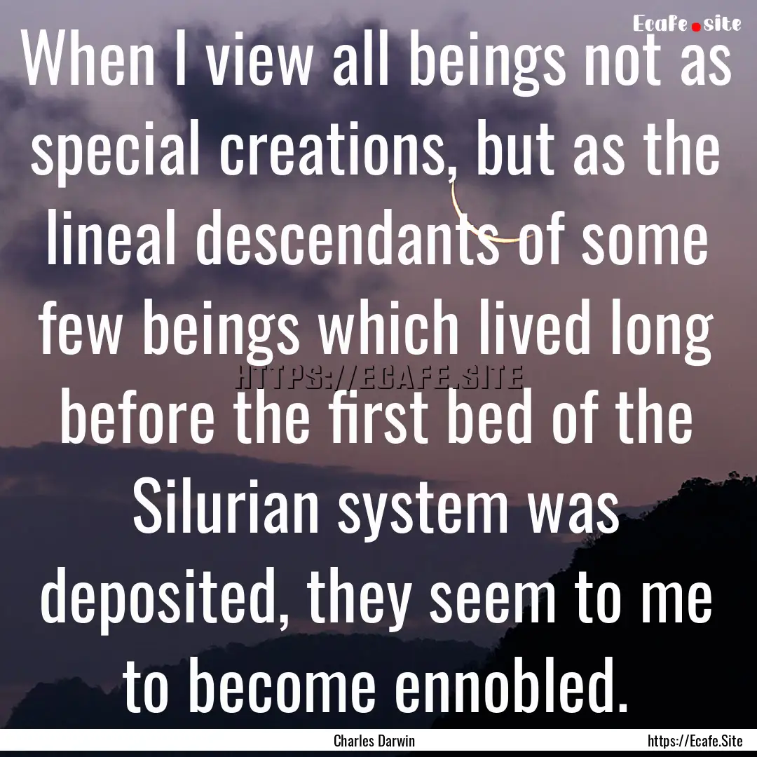 When I view all beings not as special creations,.... : Quote by Charles Darwin