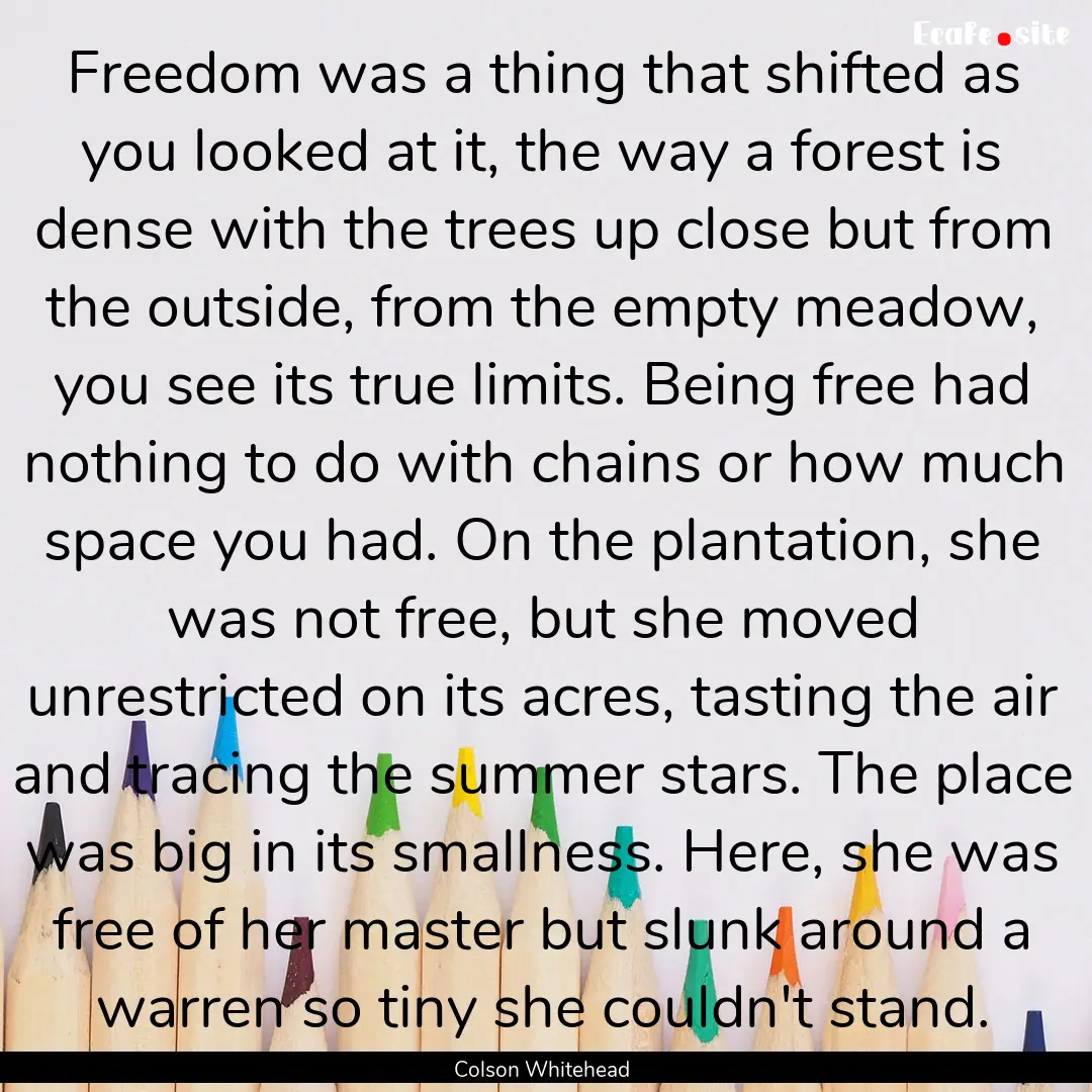 Freedom was a thing that shifted as you looked.... : Quote by Colson Whitehead