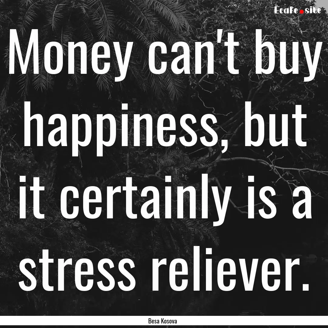 Money can't buy happiness, but it certainly.... : Quote by Besa Kosova