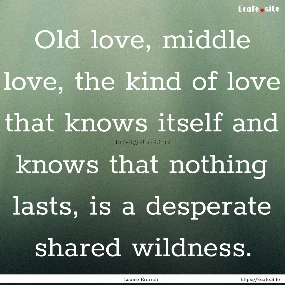 Old love, middle love, the kind of love that.... : Quote by Louise Erdrich