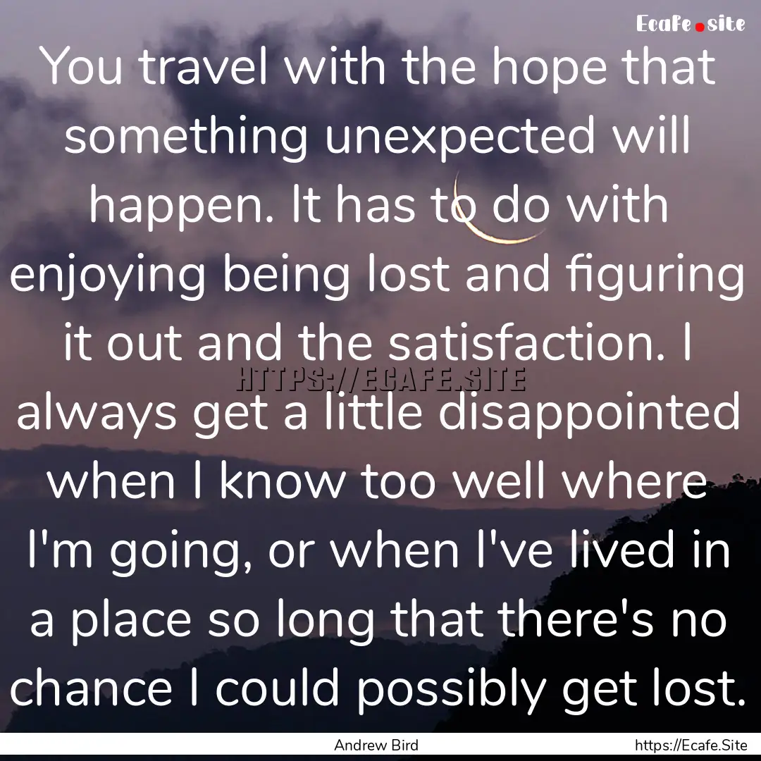 You travel with the hope that something unexpected.... : Quote by Andrew Bird