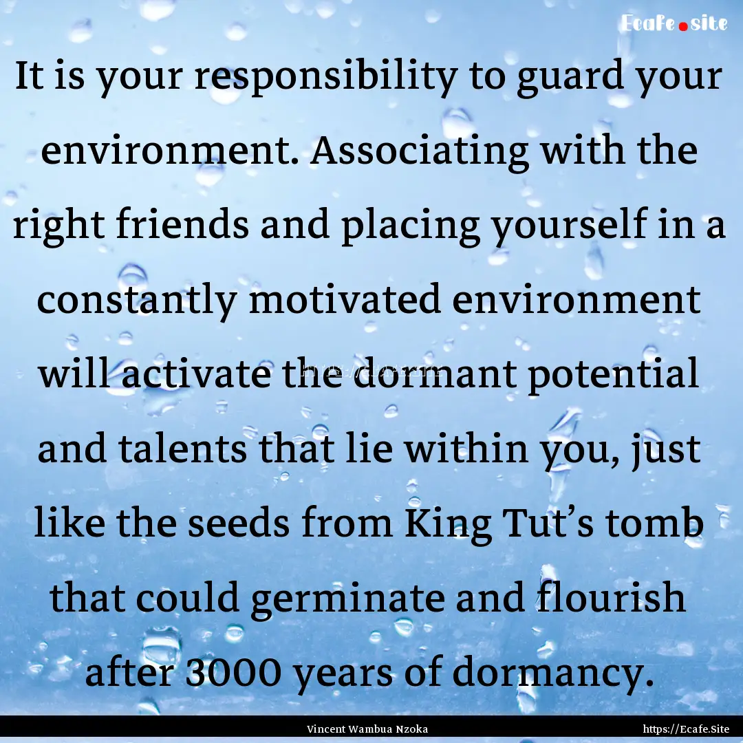 It is your responsibility to guard your environment..... : Quote by Vincent Wambua Nzoka