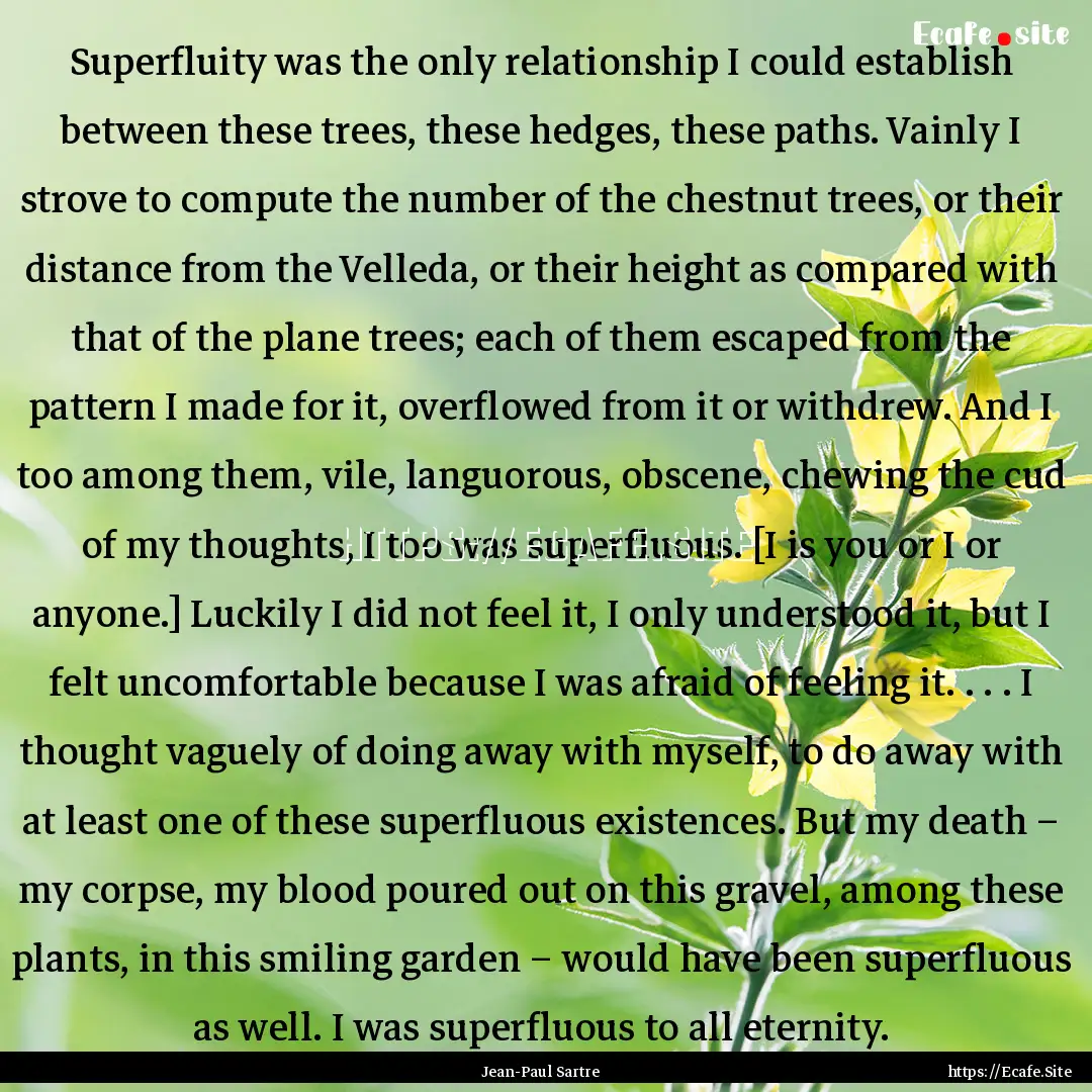 Superfluity was the only relationship I could.... : Quote by Jean-Paul Sartre