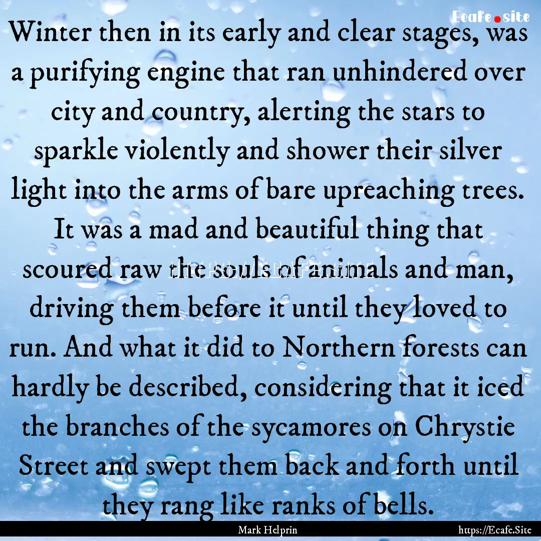 Winter then in its early and clear stages,.... : Quote by Mark Helprin