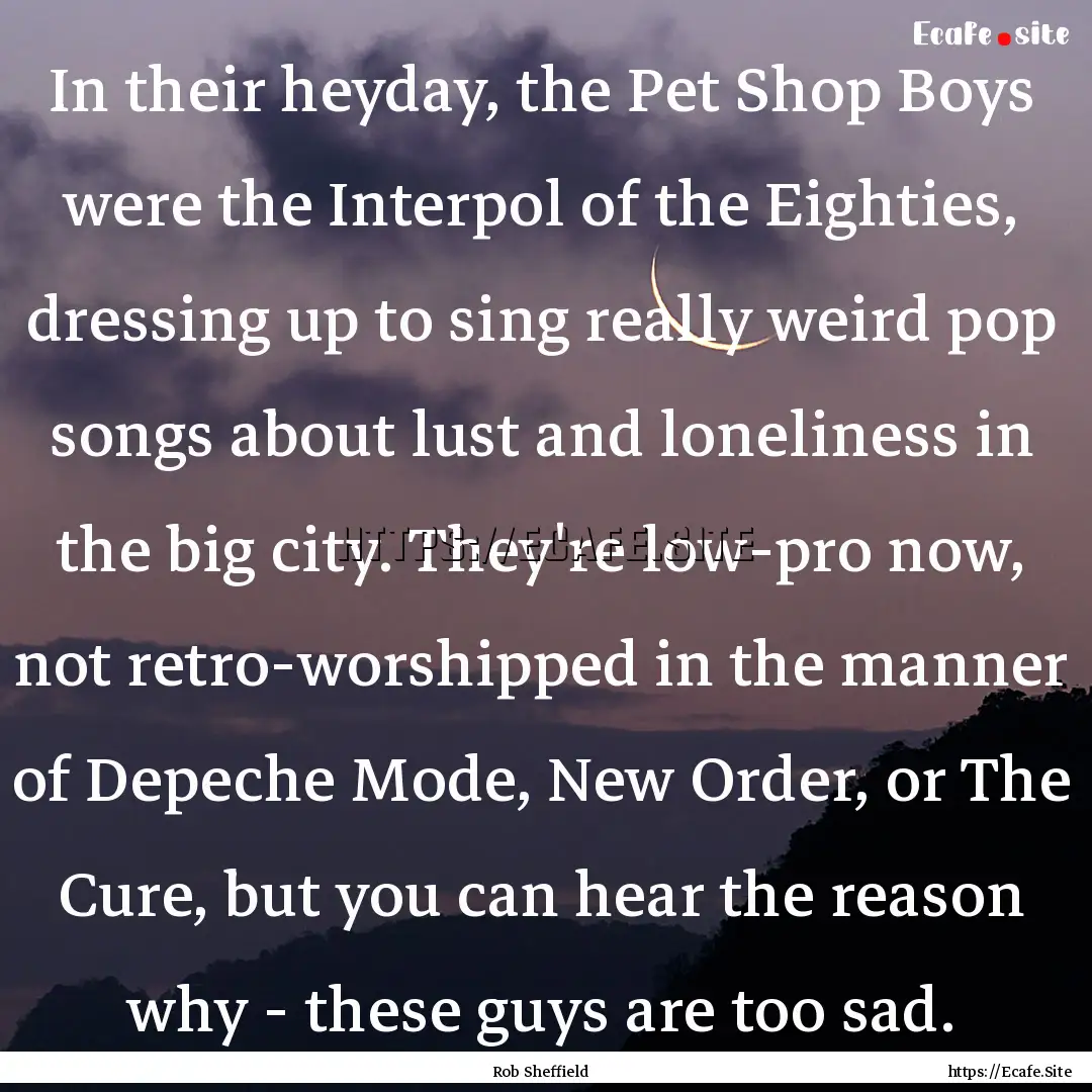 In their heyday, the Pet Shop Boys were the.... : Quote by Rob Sheffield