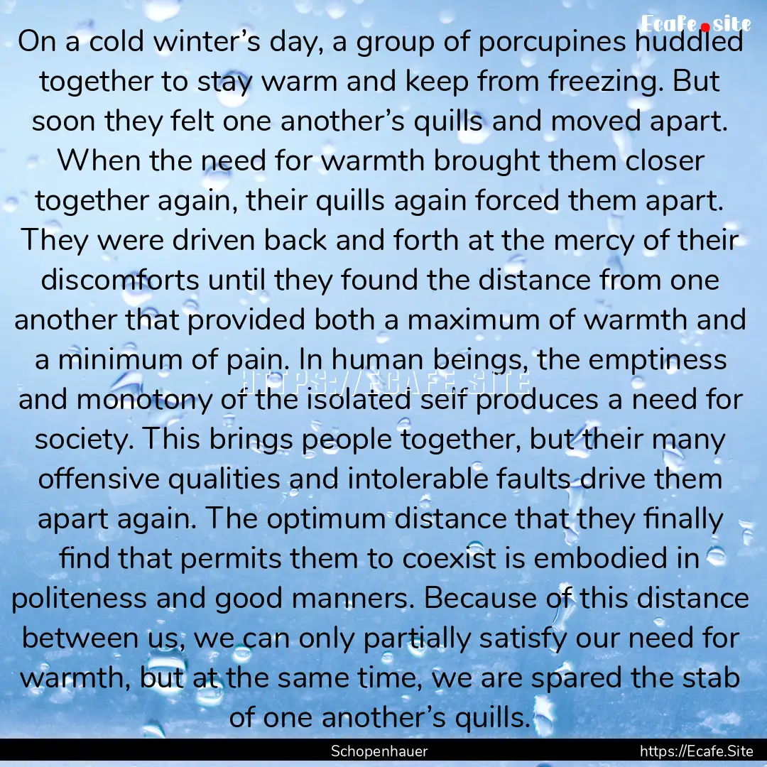 On a cold winter’s day, a group of porcupines.... : Quote by Schopenhauer