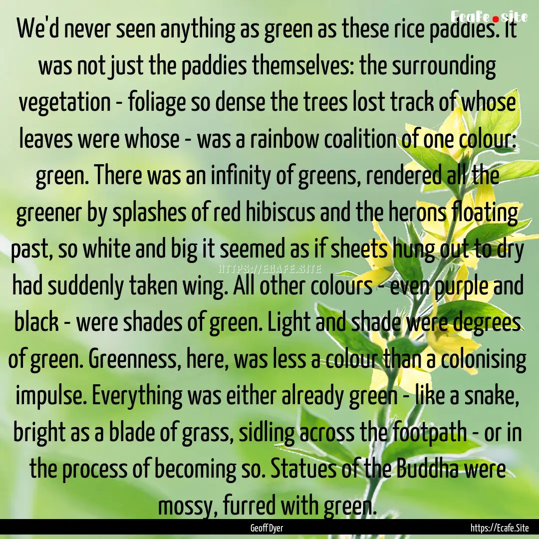 We'd never seen anything as green as these.... : Quote by Geoff Dyer