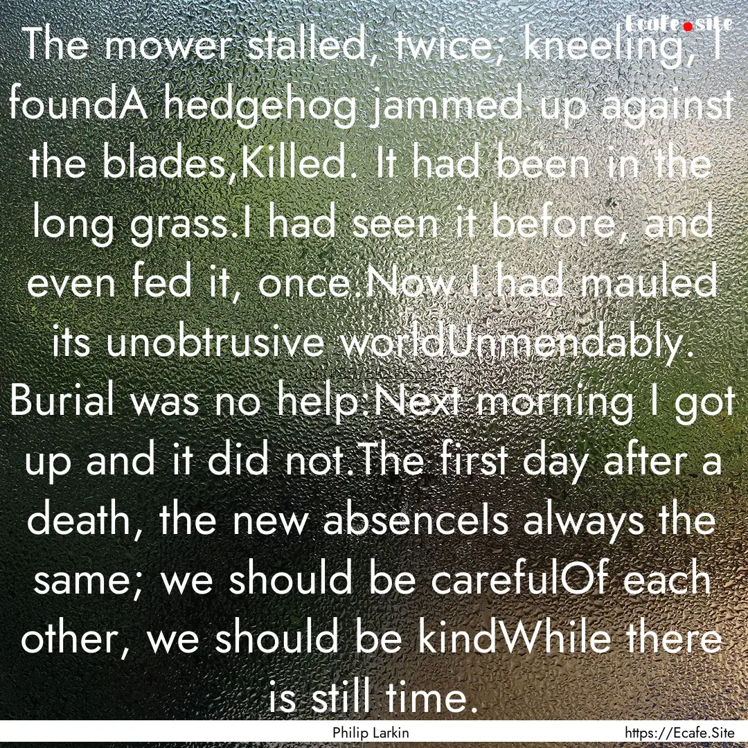 The mower stalled, twice; kneeling, I foundA.... : Quote by Philip Larkin