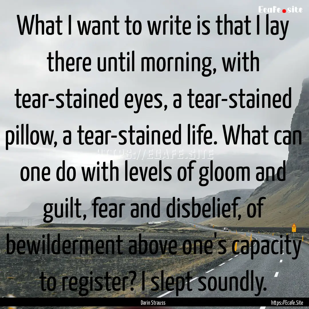 What I want to write is that I lay there.... : Quote by Darin Strauss