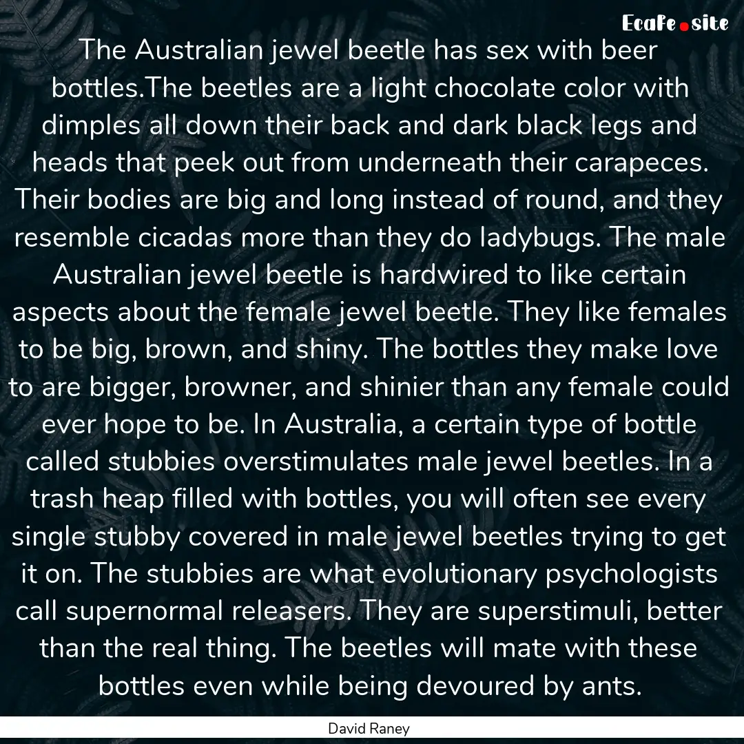 The Australian jewel beetle has sex with.... : Quote by David Raney