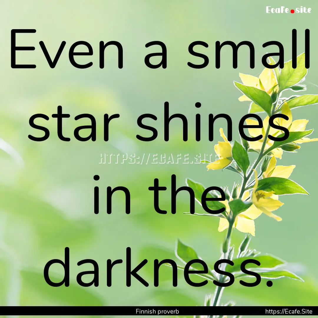 Even a small star shines in the darkness..... : Quote by Finnish proverb