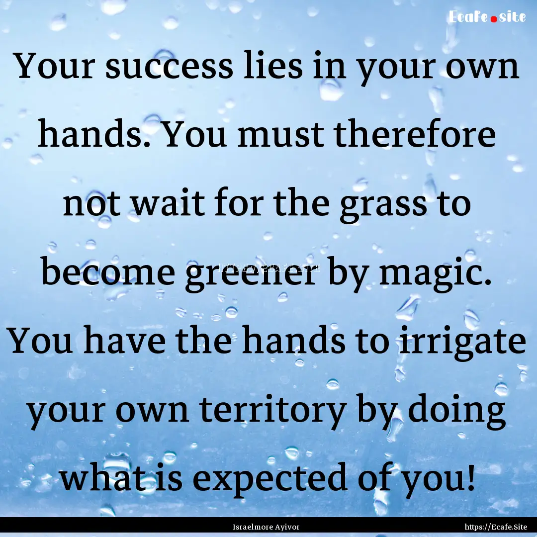 Your success lies in your own hands. You.... : Quote by Israelmore Ayivor