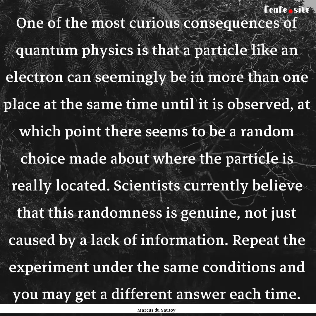 One of the most curious consequences of quantum.... : Quote by Marcus du Sautoy