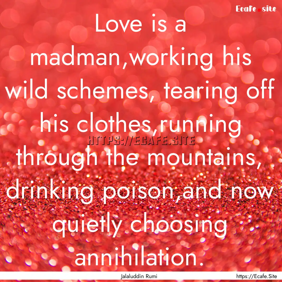 Love is a madman,working his wild schemes,.... : Quote by Jalaluddin Rumi