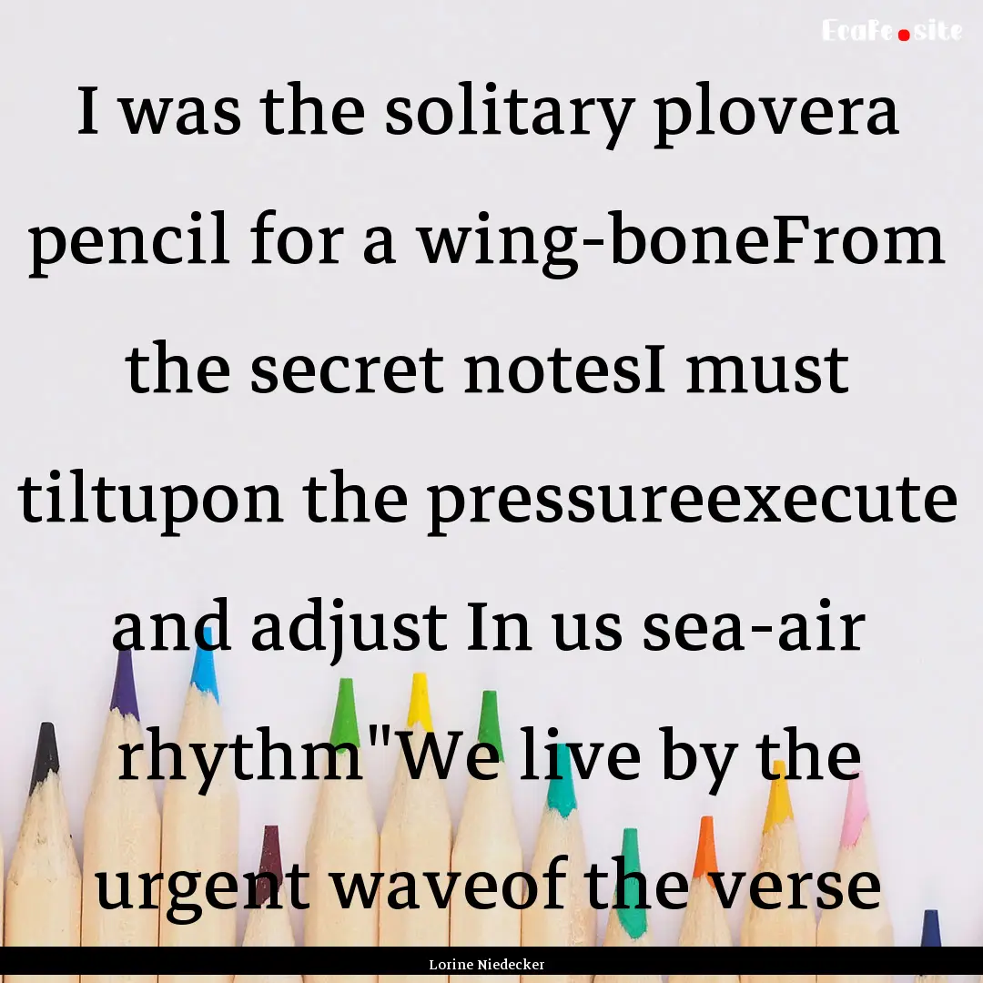 I was the solitary plovera pencil for a wing-boneFrom.... : Quote by Lorine Niedecker