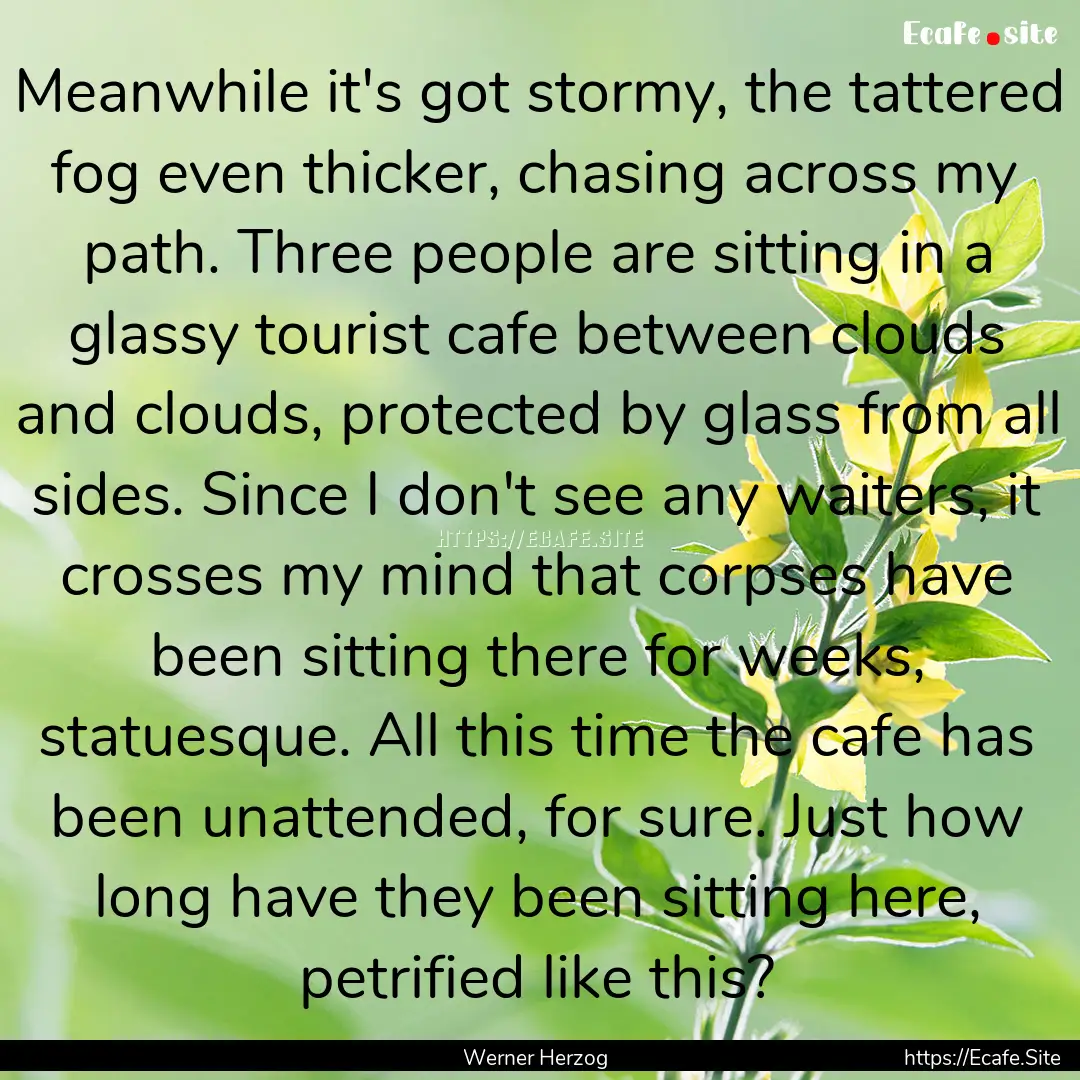 Meanwhile it's got stormy, the tattered fog.... : Quote by Werner Herzog