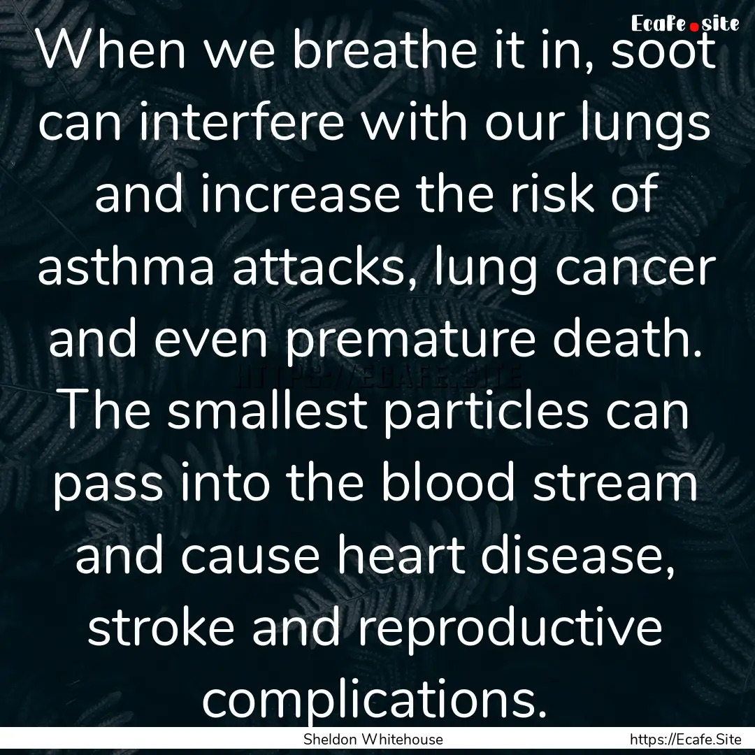 When we breathe it in, soot can interfere.... : Quote by Sheldon Whitehouse