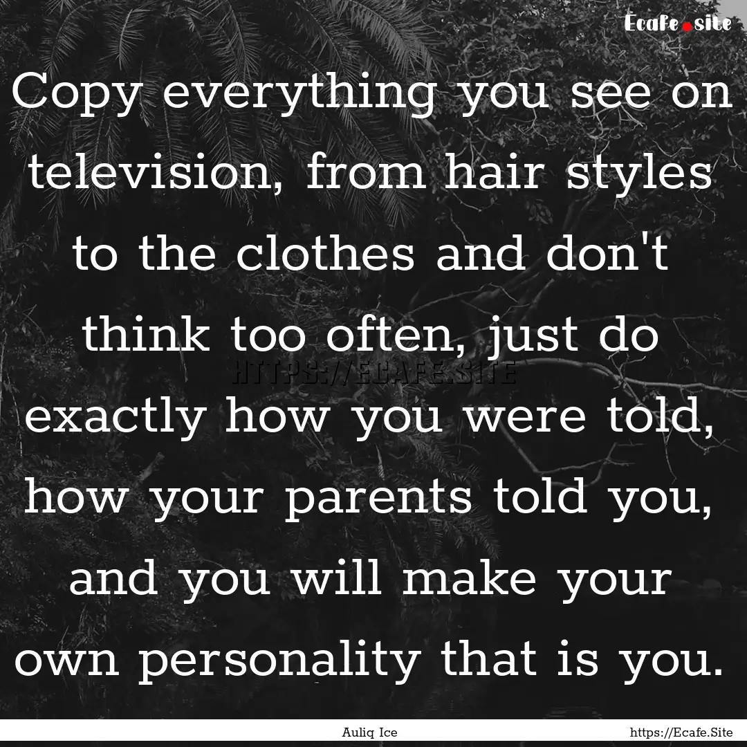 Copy everything you see on television, from.... : Quote by Auliq Ice