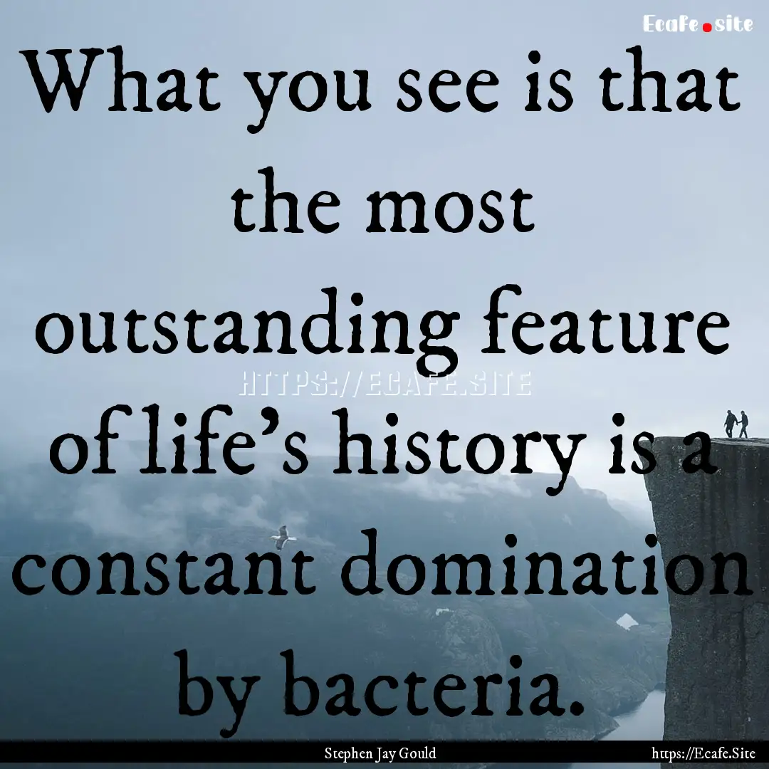 What you see is that the most outstanding.... : Quote by Stephen Jay Gould