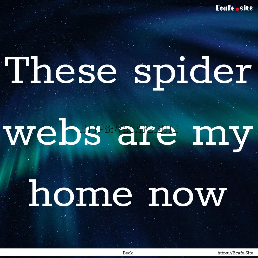 These spider webs are my home now : Quote by Beck