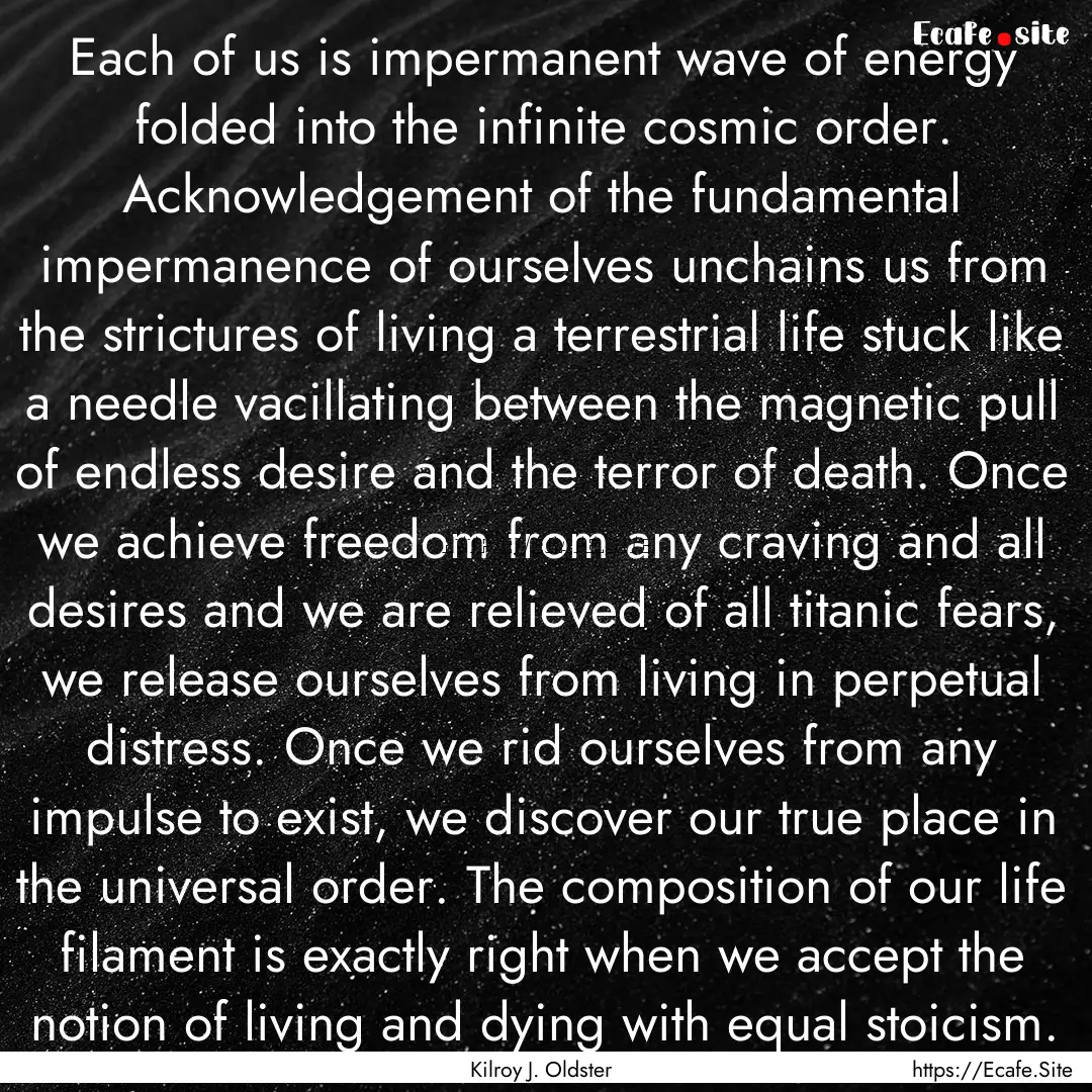 Each of us is impermanent wave of energy.... : Quote by Kilroy J. Oldster