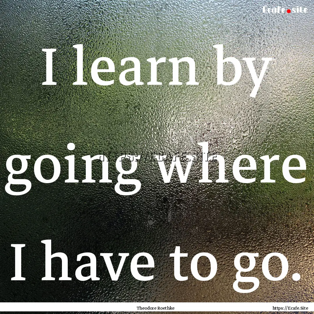 I learn by going where I have to go. : Quote by Theodore Roethke