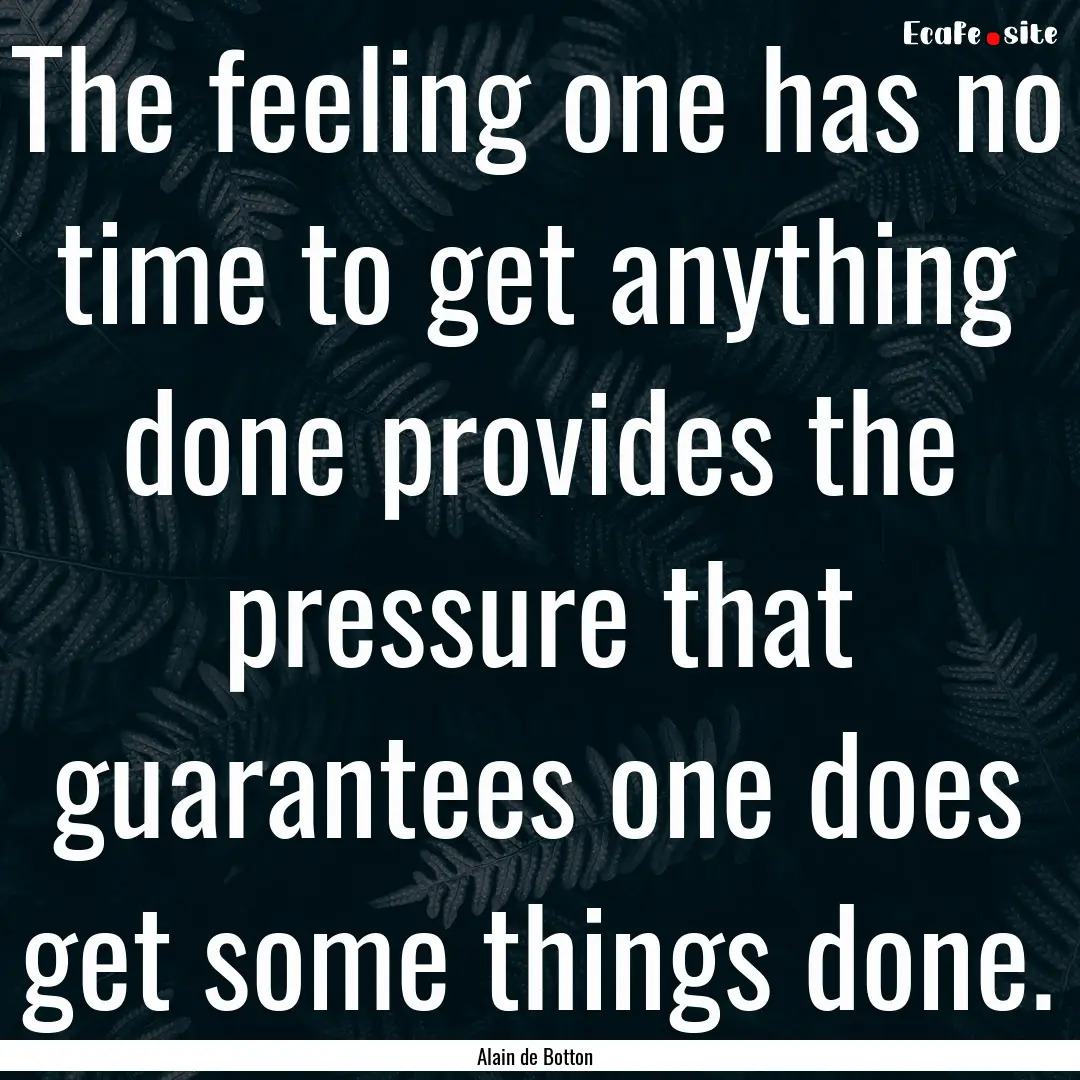 The feeling one has no time to get anything.... : Quote by Alain de Botton