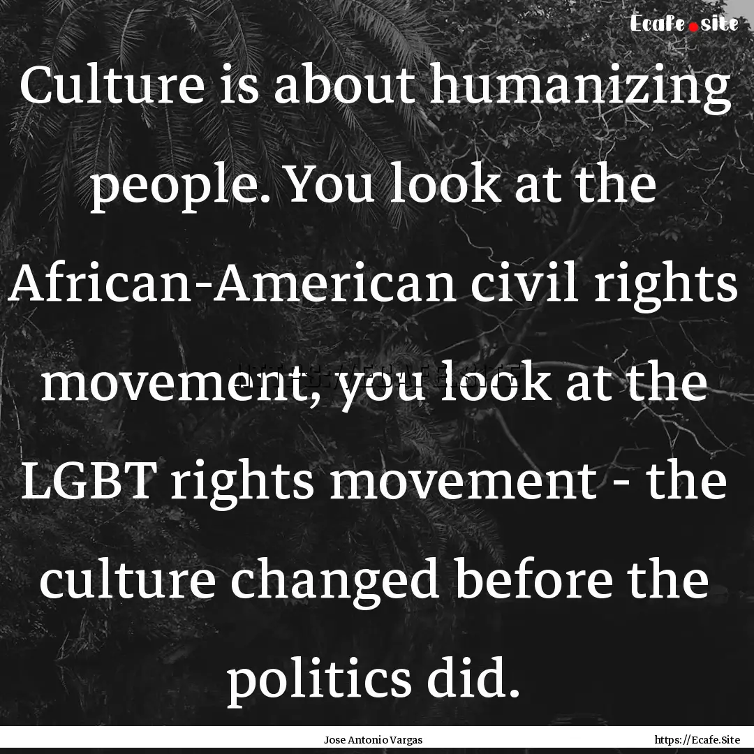 Culture is about humanizing people. You look.... : Quote by Jose Antonio Vargas