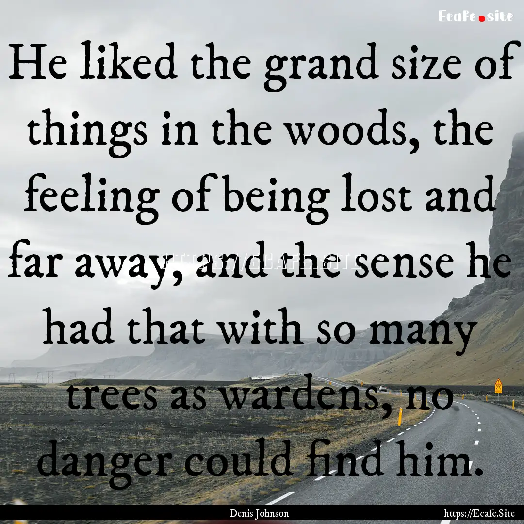 He liked the grand size of things in the.... : Quote by Denis Johnson