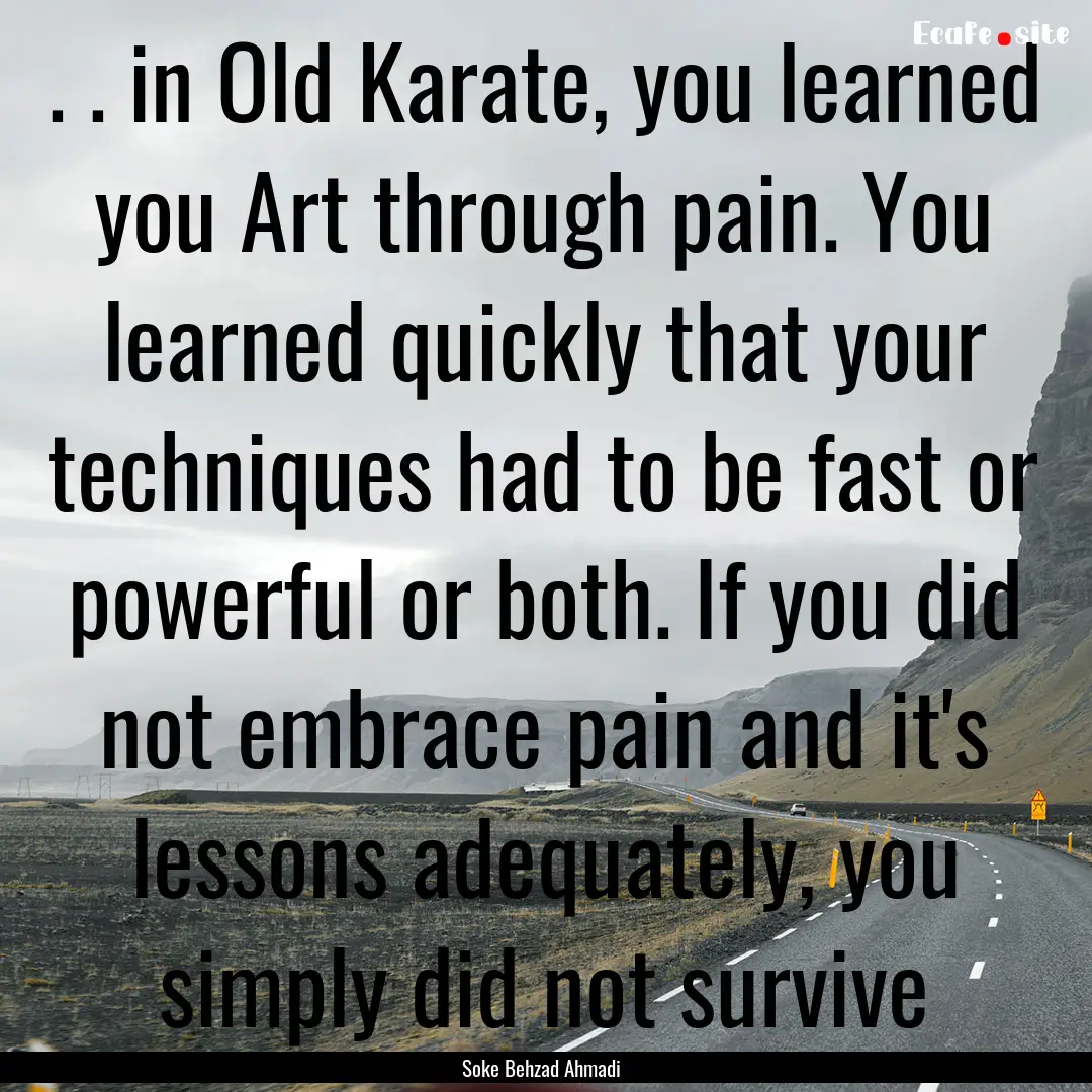 . . in Old Karate, you learned you Art through.... : Quote by Soke Behzad Ahmadi