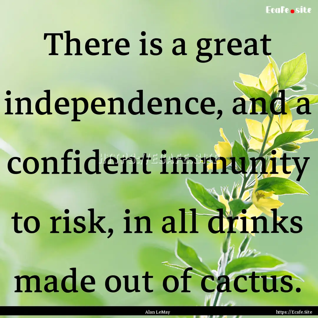 There is a great independence, and a confident.... : Quote by Alan LeMay