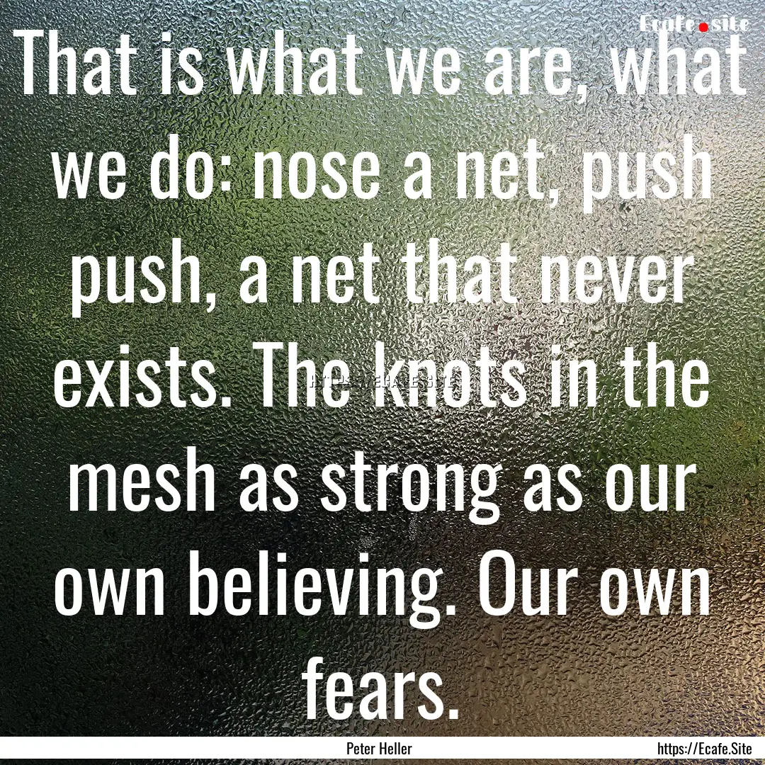 That is what we are, what we do: nose a net,.... : Quote by Peter Heller