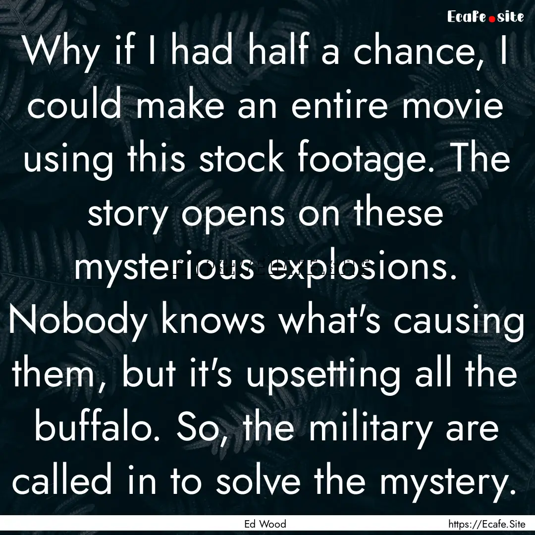 Why if I had half a chance, I could make.... : Quote by Ed Wood