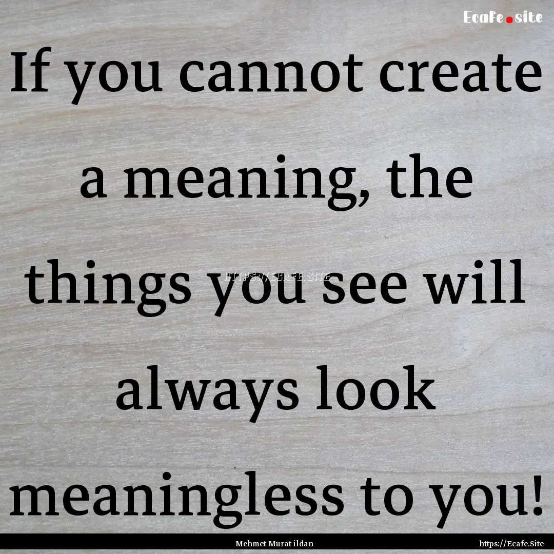 If you cannot create a meaning, the things.... : Quote by Mehmet Murat ildan