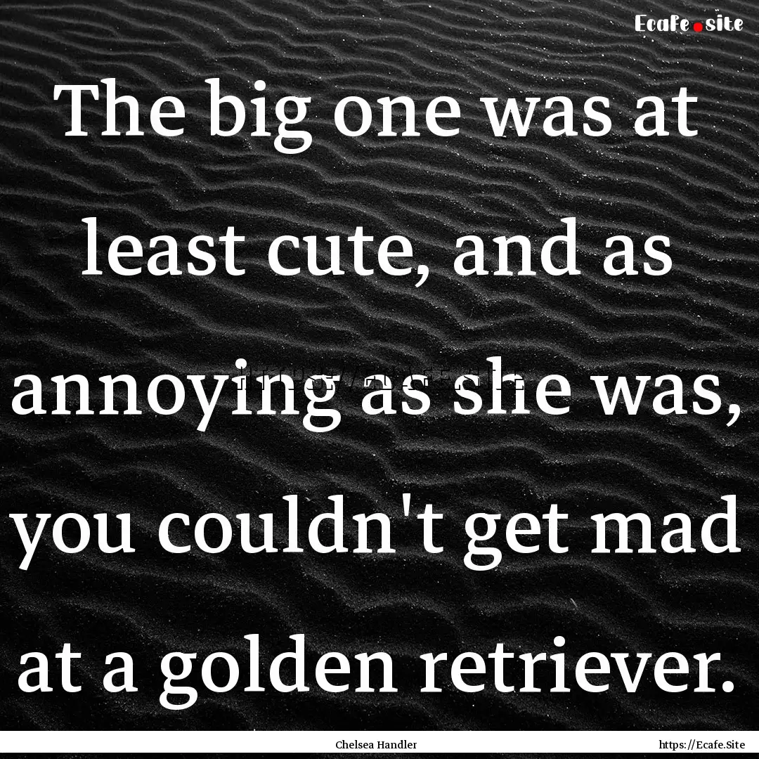 The big one was at least cute, and as annoying.... : Quote by Chelsea Handler