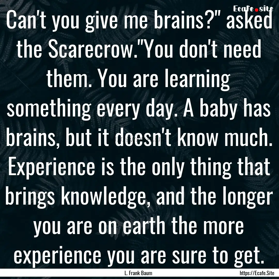 Can't you give me brains?