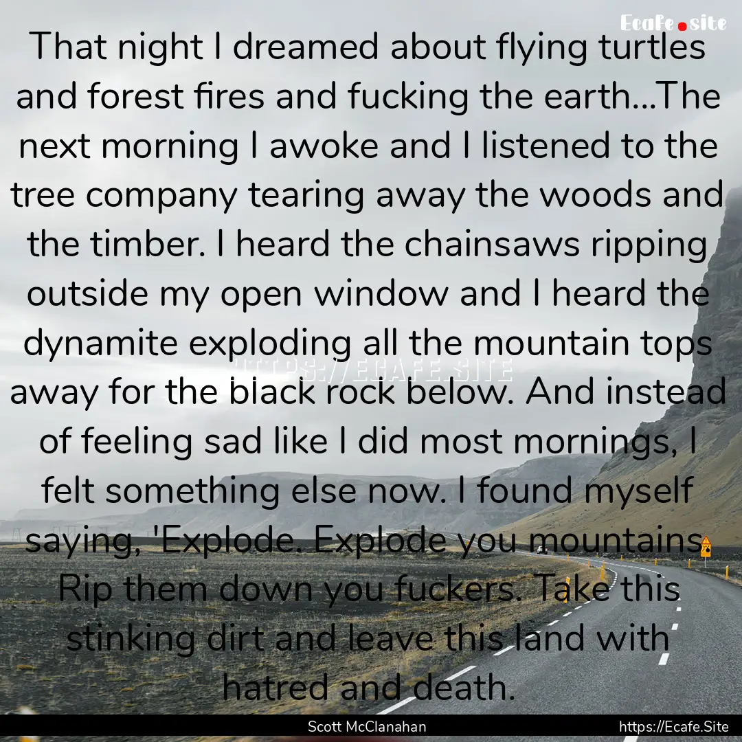 That night I dreamed about flying turtles.... : Quote by Scott McClanahan