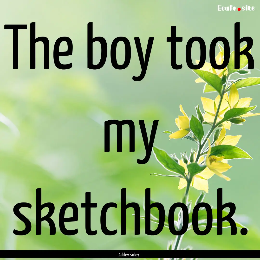 The boy took my sketchbook. : Quote by Ashley Earley