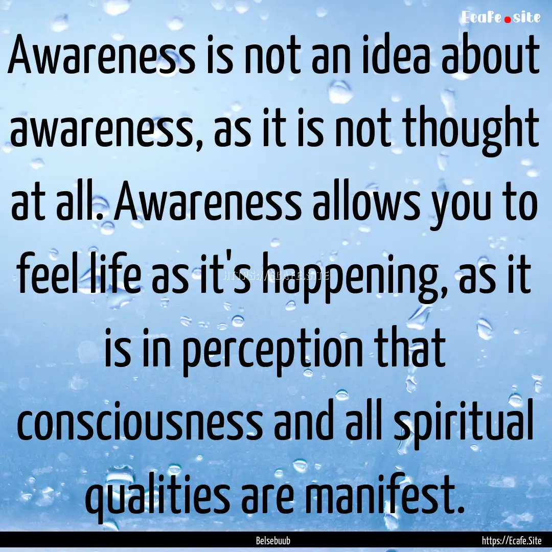 Awareness is not an idea about awareness,.... : Quote by Belsebuub