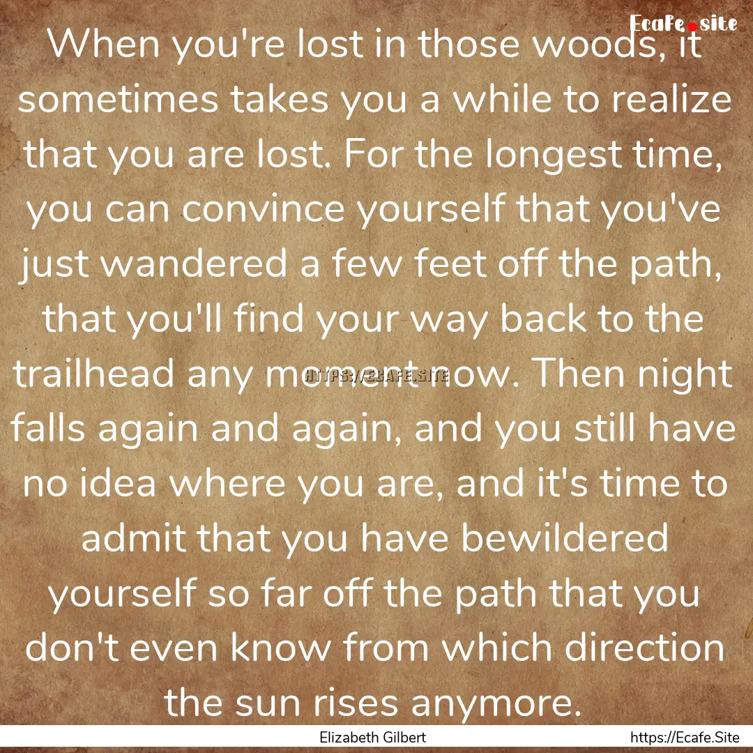 When you're lost in those woods, it sometimes.... : Quote by Elizabeth Gilbert