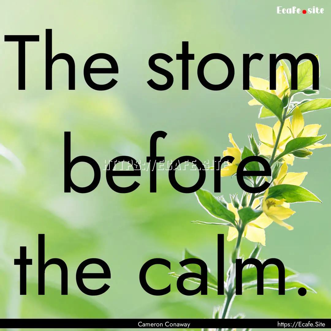 The storm before the calm. : Quote by Cameron Conaway