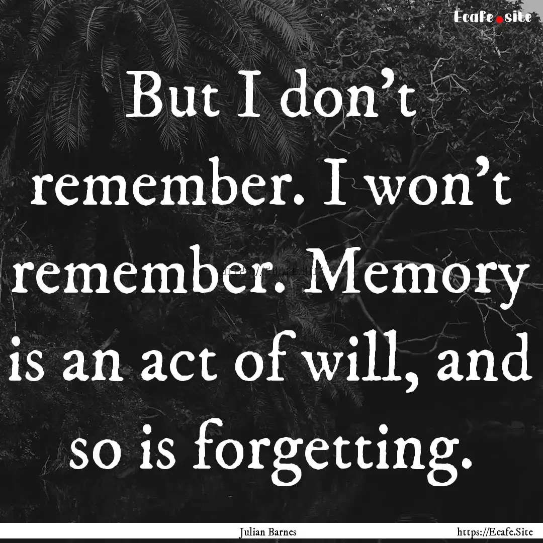 But I don't remember. I won't remember. Memory.... : Quote by Julian Barnes