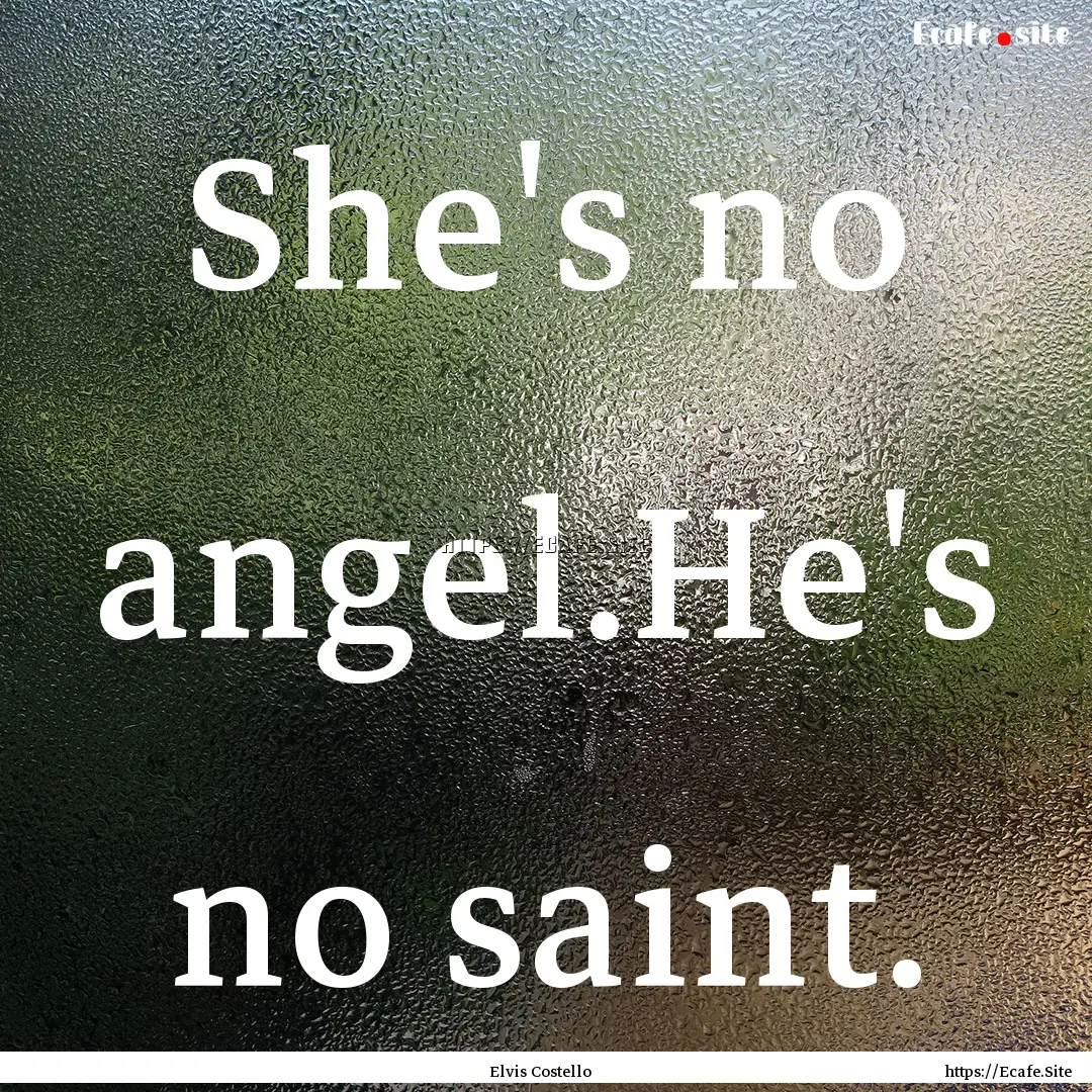 She's no angel.He's no saint. : Quote by Elvis Costello