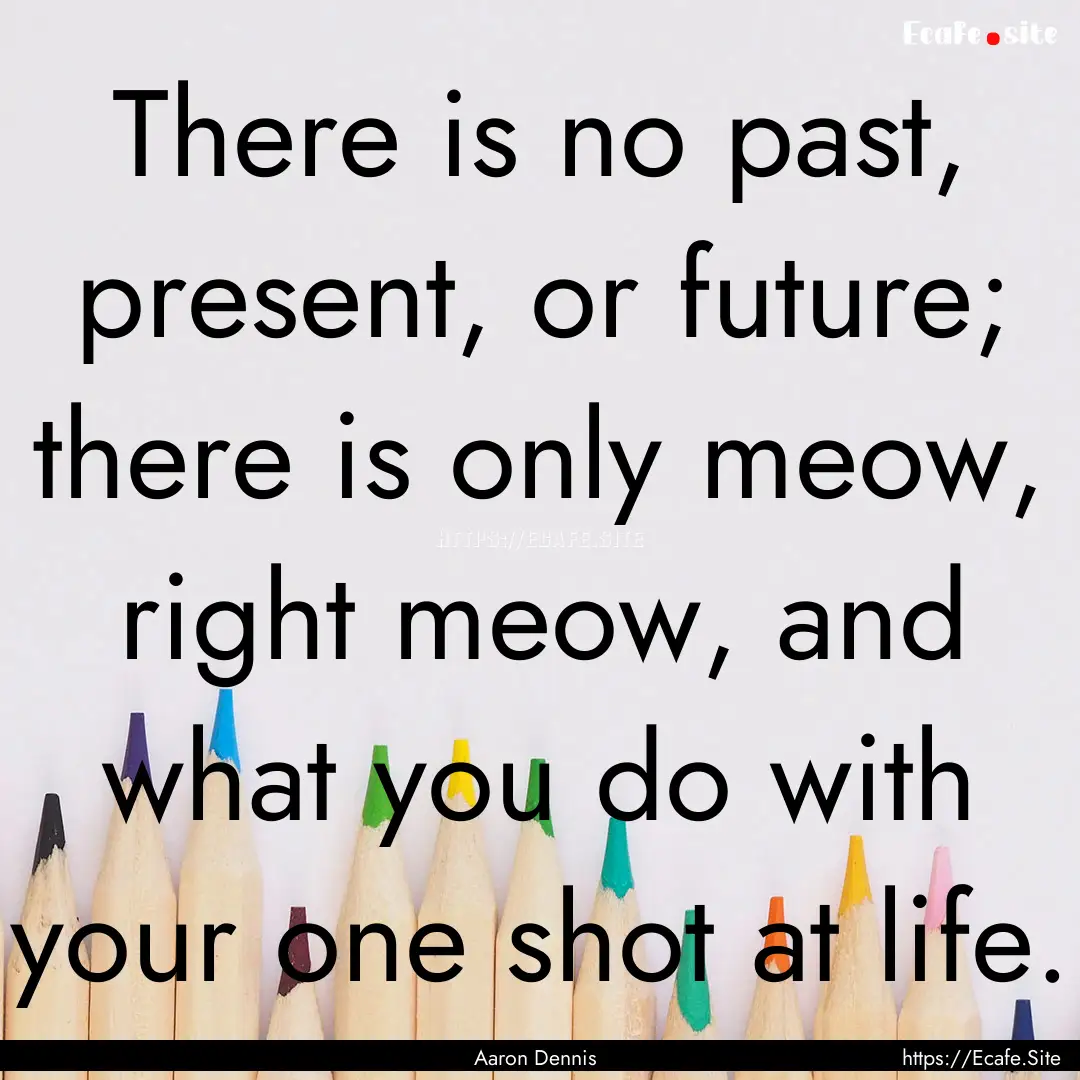 There is no past, present, or future; there.... : Quote by Aaron Dennis