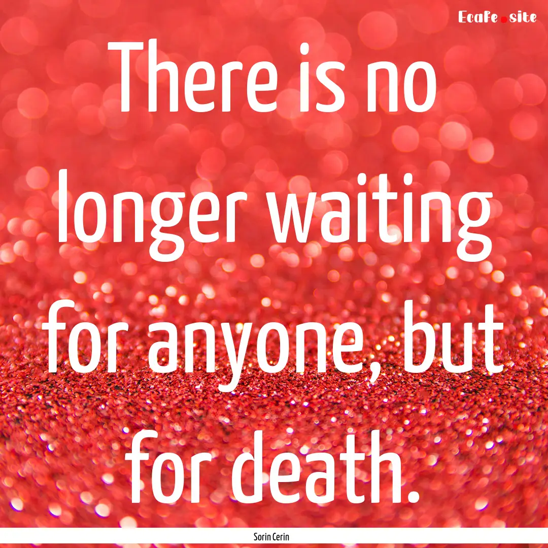 There is no longer waiting for anyone, but.... : Quote by Sorin Cerin