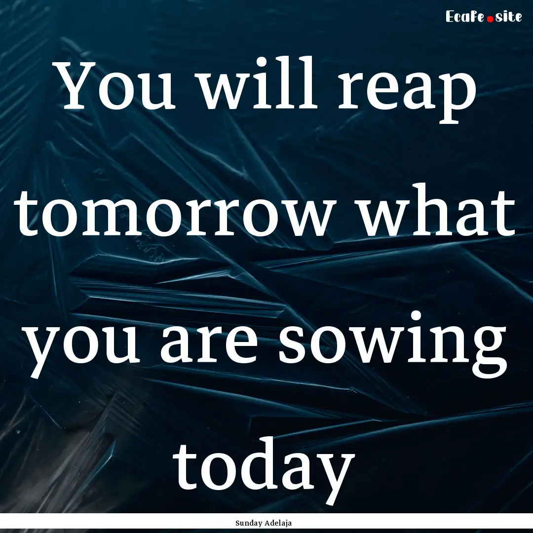 You will reap tomorrow what you are sowing.... : Quote by Sunday Adelaja