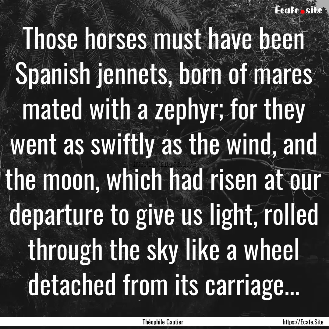 Those horses must have been Spanish jennets,.... : Quote by Théophile Gautier