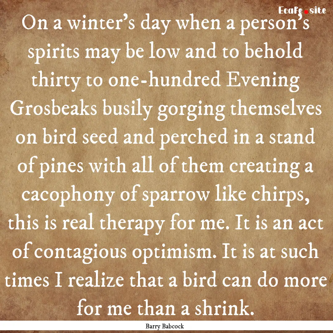 On a winter’s day when a person’s spirits.... : Quote by Barry Babcock