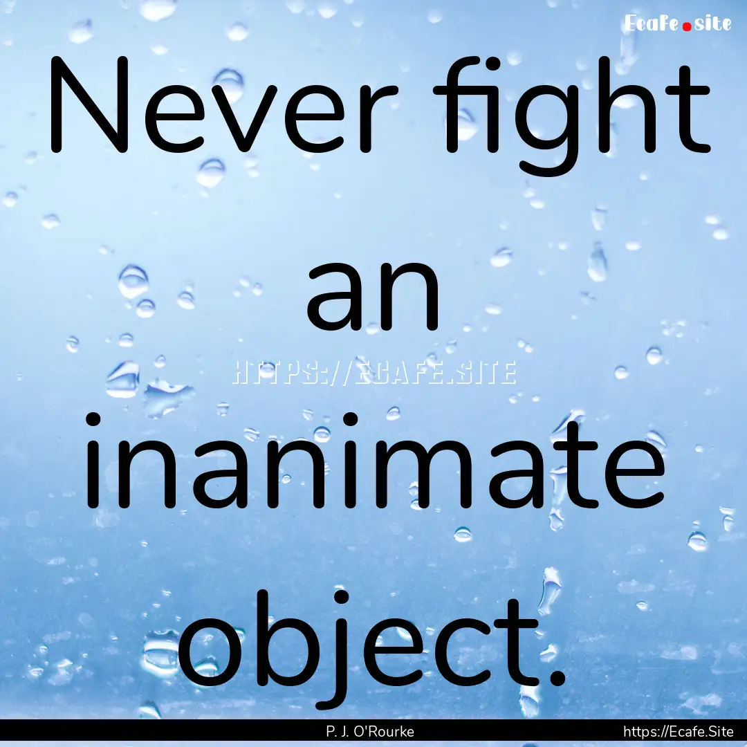 Never fight an inanimate object. : Quote by P. J. O'Rourke